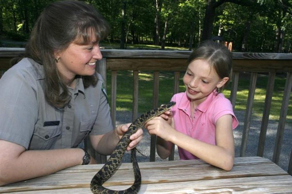 بيركلي سبرينغز Cacapon State Park Lodge المظهر الخارجي الصورة